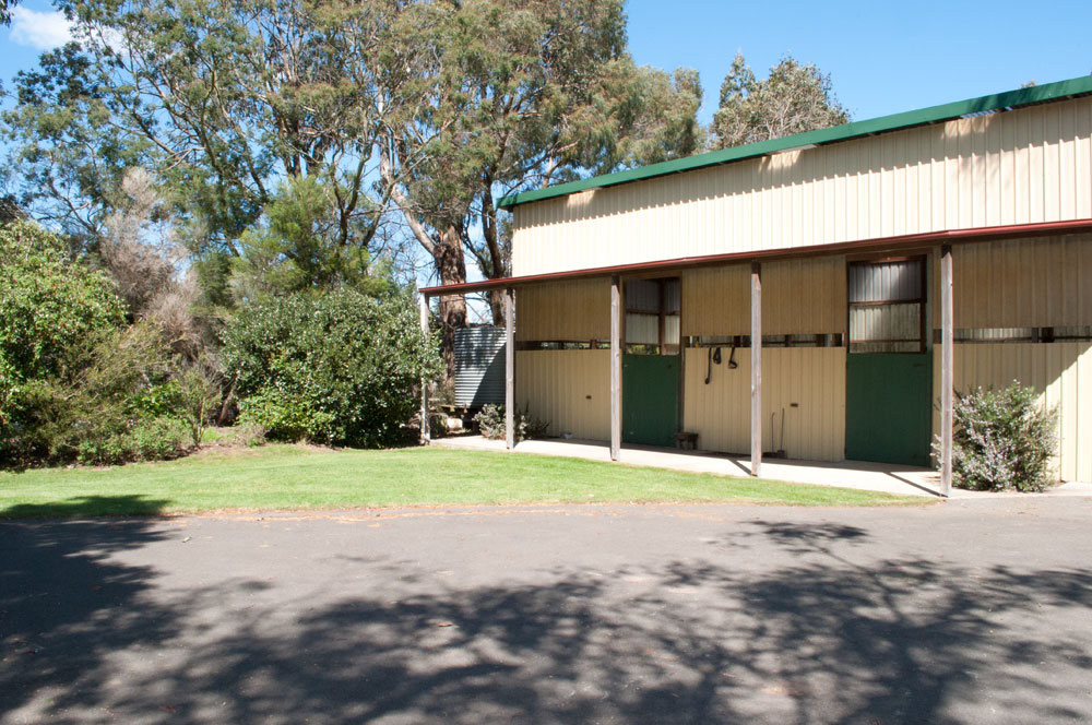 Equine Clinic in Longford